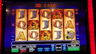 Download lagu The Wild Life VLT - Max Bet Bonus! (Over 400X) mp3 Download lagu The Wild Life VLT - Max Bet Bonus! (Over 400X) mp3