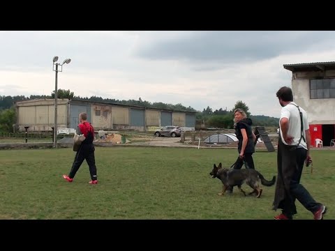 Summer camp HST - 15. - 22.8.2015