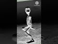 Amit Ko Sita Dame Tu Cosita Alien Dance Alien Dance With Song Green Alien Dance With Song 2