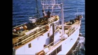 Calypso-A Tribute To Jacques Cousteau