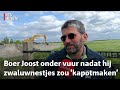 Hij krijgt de volle laag op Twitter, maar volgens de boer zit het helemaal anders | RTV Utrecht