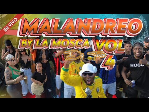 MALANDREO VOL 4 BY LA MOSCA  -  DJ TERCO  #LAMALDITATERQUEDAD #CHAMPIÑONESCONAJI