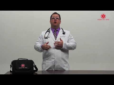 Pet Emergency Tips: Hypothermia