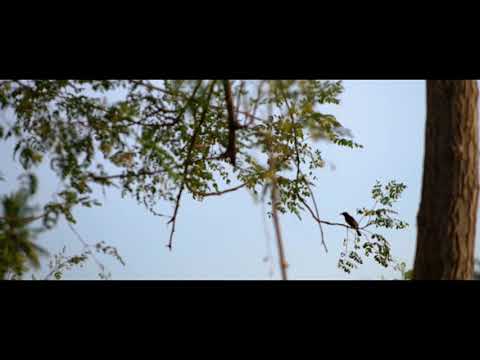 Roadasia-Hanggang sa Muli