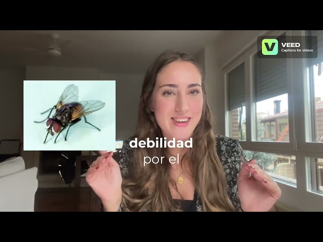 Vídeo relacionado con Bichos: La vida secreta de los animales (LITERATURA INFANTIL - Libros-Regalo)