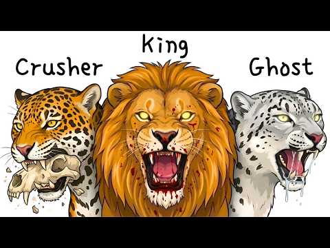 Every BIG WILD CAT Explained in 8 Minutes