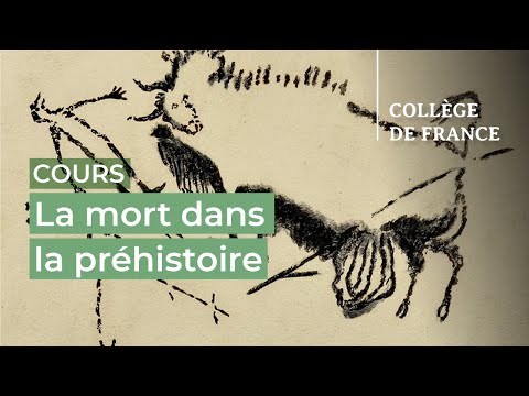 La mort dans la préhistoire (1) - Jean-Jacques Hublin (2024-2025)