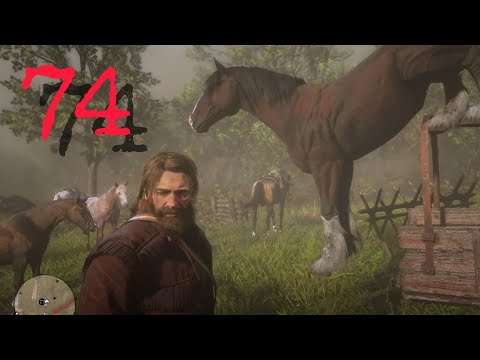 TASIEMIEC: Red Dead Redemption 2 odc. 74 (glitche 🤣)