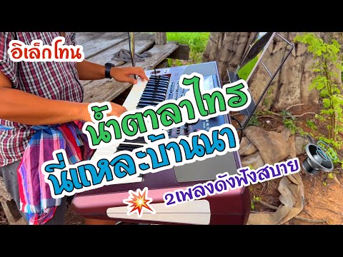 นี่แหละบ้านนา|น้ำตาลาไทร #เบสแน่นๆ #เพลงดังฟังสบาย