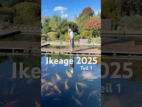 Ki Utsuri Umsetzung Teil 1