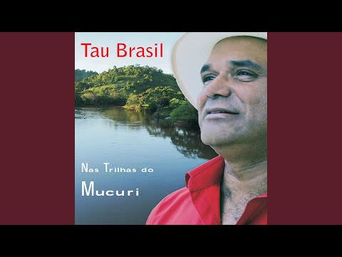 Padroeiro - Tau Brasil
