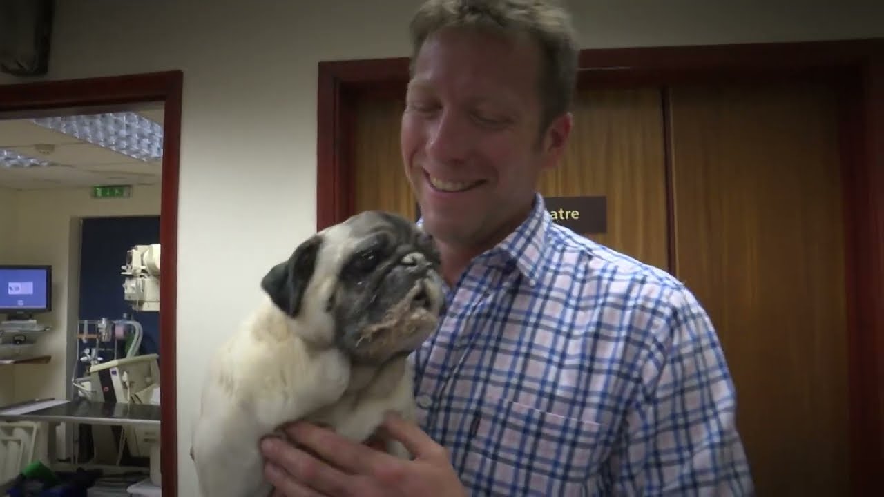 Promo: The Yorkshire Vet