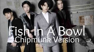 K-Much - Fish In A Bowl [Chipmunk Version]
