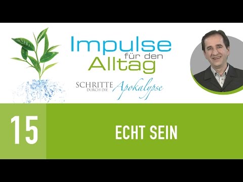 15. Echt sein - Schritte durch die Apokalypse - Peter Zaiser