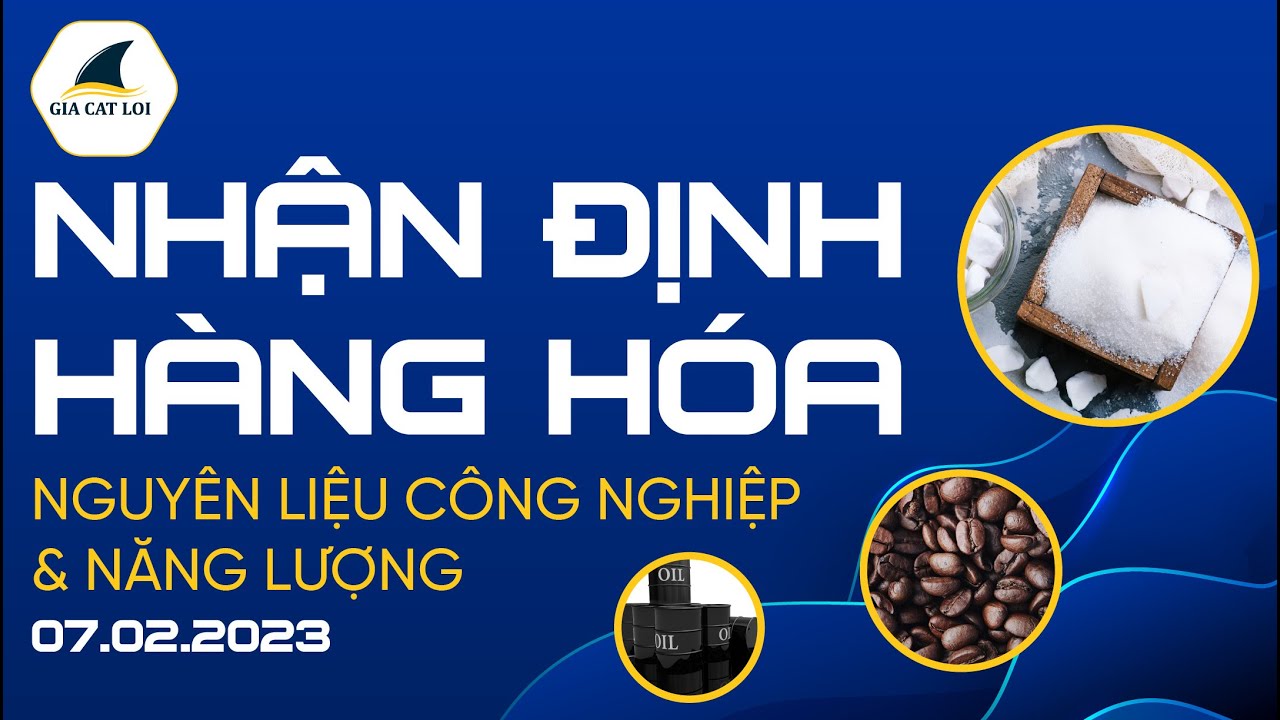 Nhận Định Hàng Hoá Năng Lượng & Nguyên Liệu Công Nghiệp Ngày 07/02/2023