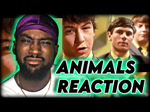 Please Don´t Let Me Be Misunderstood The Animals REACTION - Rapper 1st Time Listen - RAH REACTS