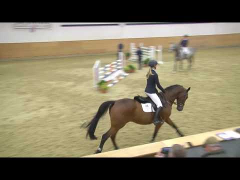 108 Cardozo v. Caretino - Cassini I