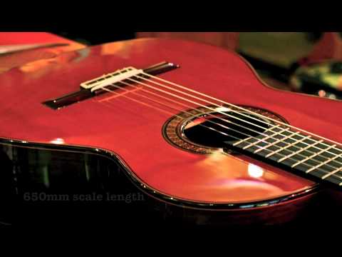 Gear Demo: Ramirez 1A Tradicional (Madagascar) Classical Guitar