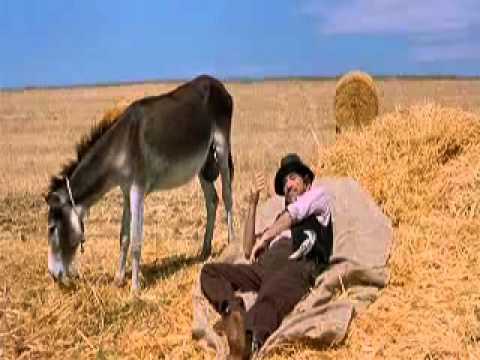 Le barzellette - L'asino