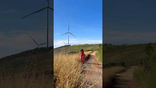 Hidden Gem Of Vietnam : Da Lat #travel #dalat #vietnam #shorts