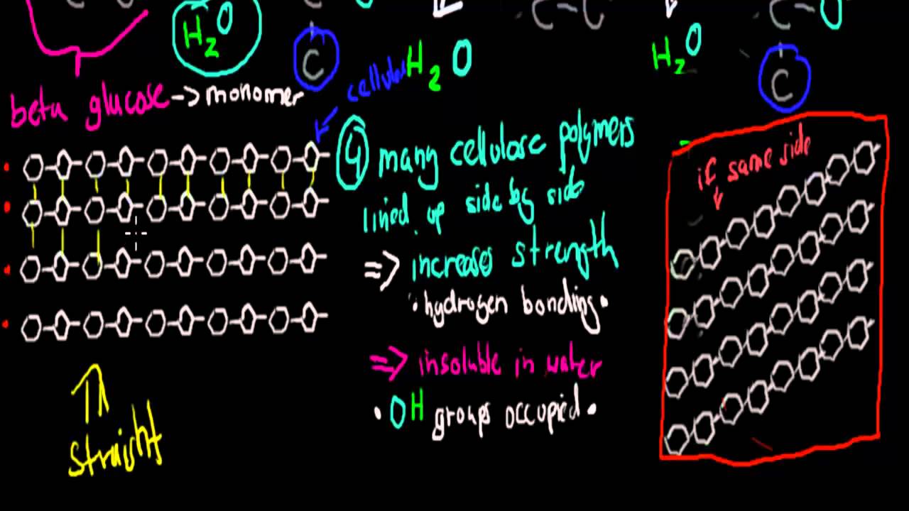 3. Structure of cellulose (HSC chemistry)