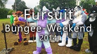 preview picture of video 'Fursuit Bungee Weekend 2014'