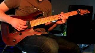 Pain Of Salvation cover - Linoleum