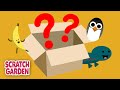 What Is In The Box Counting Video Scratch Garden