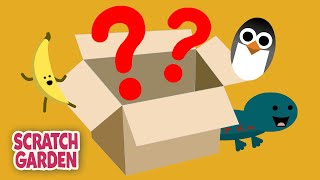 What is in the Box| Counting Video | Scratch Garden