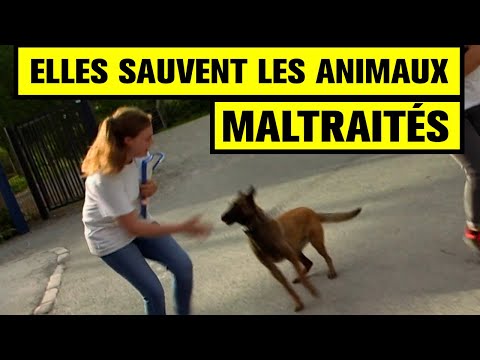 Elles sauvent les ANIMAUX MALTRAITÉS