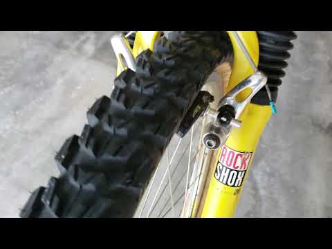 1995 GT Zaskar LE Walk Around