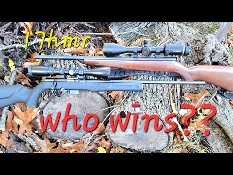 Rossi RB17, inexpensive bolt action 17HMR rifle from Brazil.