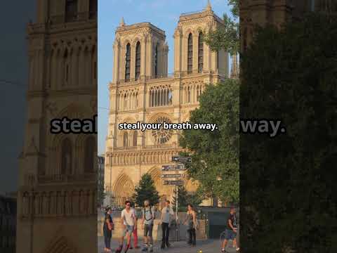 Paris🗼City of Lovers🥂