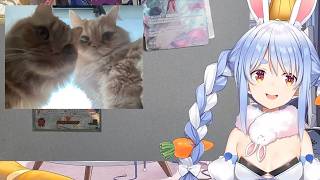 【兎田ぺこら】優しい☆忙しくても時間を作って寂しがってるごろにゃんみみちゃんと遊んであげてるぺこらちゃん 2026/06/19(Cパート)【ホロライブ切り抜き】