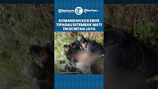 Sosok Komandan OPM Enos Tipagau yang Ditembak Mati TNI Polri di Intan Jaya, Dikenal Sadis dan Kejam