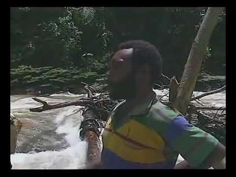 Tribal Journeys The Toulambi of New Guinea !