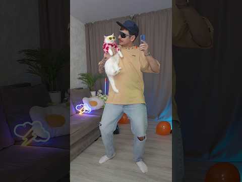 Женя устроил дискотеку!🕺🏻🪩 Похоже теперь Ира ночует в подъезде.. #котики