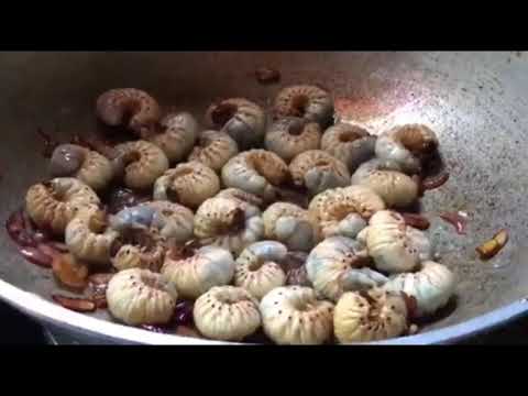 EXOTIC COOKING : GINISANG ABALING | UOK STIR-FRIED JUNE BUG LARVAE How to Cook mga ka-L(Luto) #worm