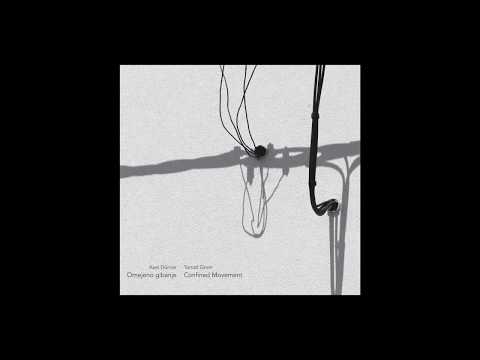 Confined Movement: Axel Dörner, Tomaž Grom