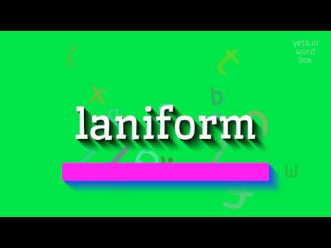 LANIFORM - HOW TO PRONOUNCE LANIFORM? #laniform
