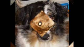 The Little Girl In My Hometown