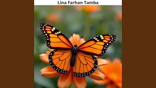 Download lagu Sciuridae Etheris mp3 Download lagu Sciuridae Etheris mp3