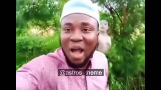 Cover art for call me if you get lost