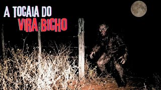 LUIZ BONIFÁCIO E A TOCAIA DO VIRA BICHO NA ESTRADA.