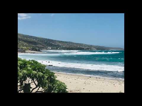 ZONE 41 974 REUNION CITE RAGGA