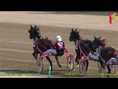 III Corsa del 14 settembre 2021   2 Anni   Metri 2000   Gara Centrale