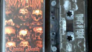 TROOPS OF TERROR   "Sacrifice for the emperor "  Cass.EP  2010