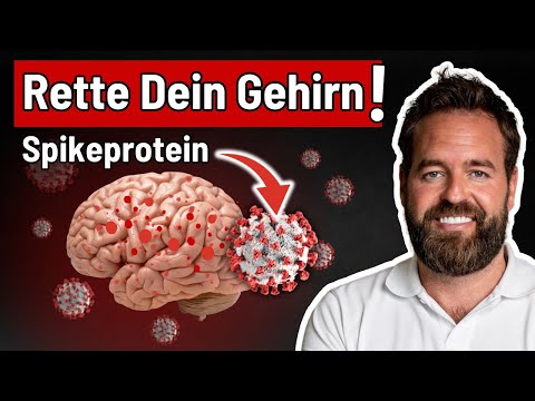 Wie Spike unser Gehirn zerstört (traurig, aber wahr)