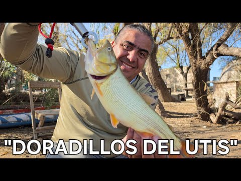 PESCA -RÍO UTIS- SANTIAGO DEL ESTERO TRES DÍAS A PURA PESCA, COMIDAS TÍPICAS Y AMIGOS 