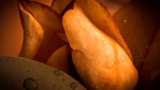 Rue des Cascades - Claire Pichet - Yann Tiersen